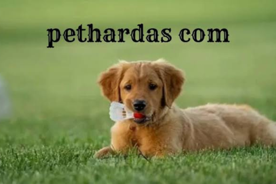 Pethardas.com