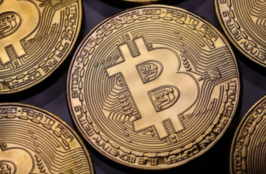 biitland.com crypto